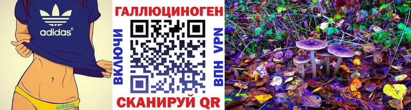 Псилоцибиновые грибы Cubensis  Омутнинск 